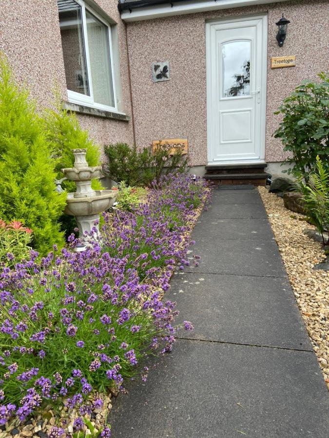 Treetops Bungalow Loch Ness Drumnadrochit Eksteriør billede