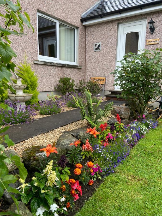 Treetops Bungalow Loch Ness Drumnadrochit Eksteriør billede